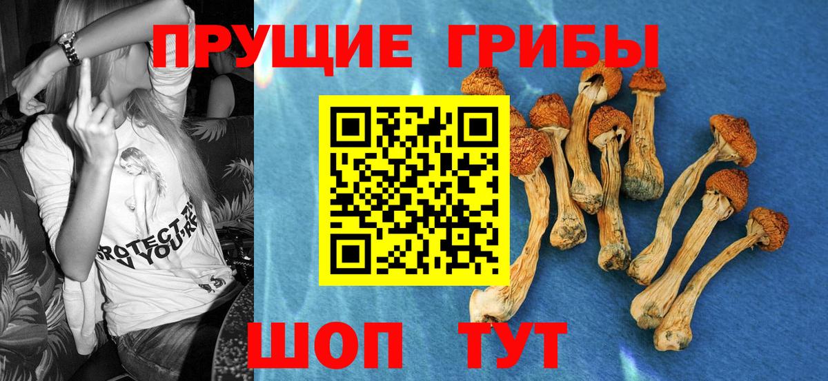Псилоцибиновые грибы мицелий Нижневартовск